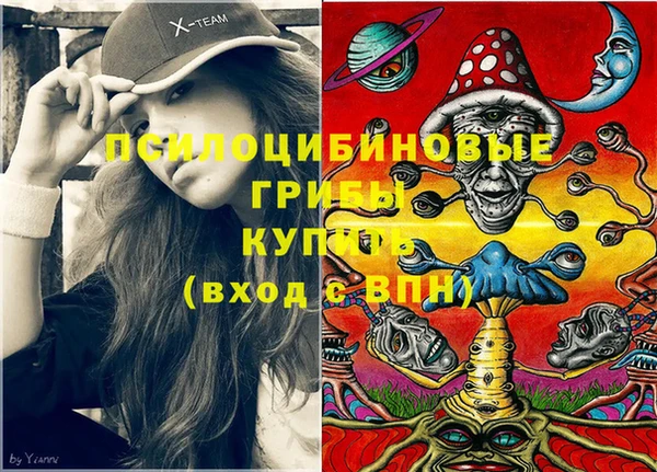 МДПВ Рославль
