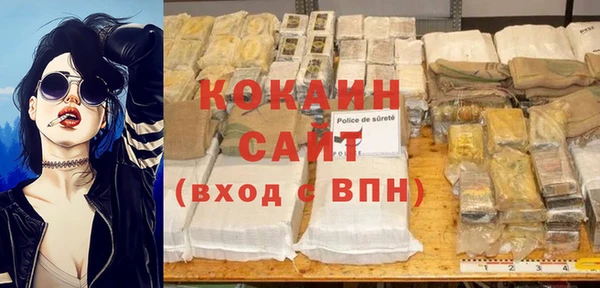 МДПВ Рославль