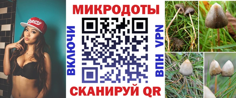 Купить закладки  Чудово  Галлюциногенные грибы MAGIC MUSHROOMS 